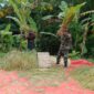 Babinsa Bersama Poktani PaninPadi  Desa Cikadu Kecamatan Palabuhanratu, (GELIATMEDIA.COM/VITA)