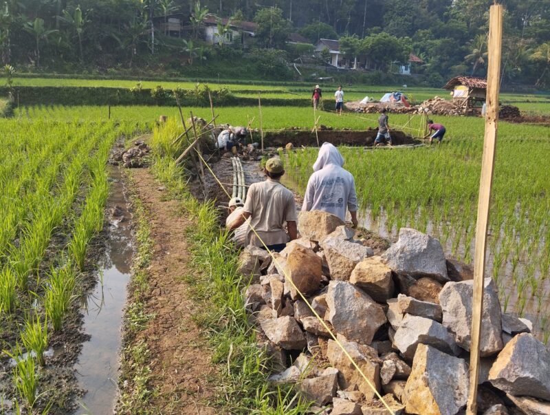 Pembangun Jalan Usaha Tani Desa Cimanggu Kecamatan Palabuhanratu, (GELIATMEDIA.COM/red)