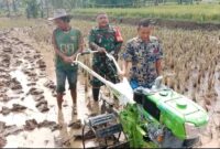 Babinsa Desa citepus laksanakan gelar mesin traktor poktan sinar harapan,(GELIATMEDIA)