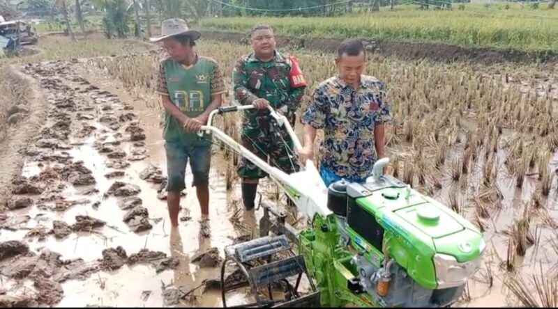 Babinsa Desa citepus laksanakan gelar mesin traktor poktan sinar harapan,(GELIATMEDIA)