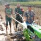 Babinsa Desa citepus laksanakan gelar mesin traktor poktan sinar harapan,(GELIATMEDIA)