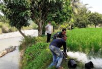 Babinsa Citarik Bantu Poktani Dalam Giat Pompanisasi Pengairan Sawah