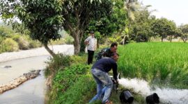 Babinsa Citarik Bantu Poktani Dalam Giat Pompanisasi Pengairan Sawah