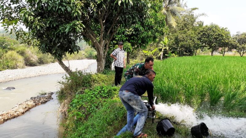 Babinsa Citarik Bantu Poktani Dalam Giat Pompanisasi Pengairan Sawah