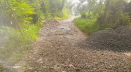 Desa Cirendang, Pengaspalan Jalan Lingkungan, Bantuan Propinsi