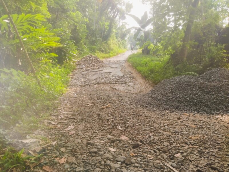 Desa Cirendang, Pengaspalan Jalan Lingkungan, Bantuan Propinsi