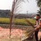 Untuk Ketahanan Pangan, Babinsa Citarik Laksanakan Pendampingan LTP Bersama Poktani