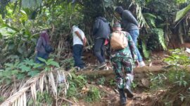 Batuud Koramil 2201/Cisolok Dampingi Dinas Pertanian Cek Saluran Irigasi untuk Optimalisasi Lahan Sawah