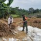 Babinsa Gunung Tanjung Dampingi Poktani Laksanakan Panen Padi
