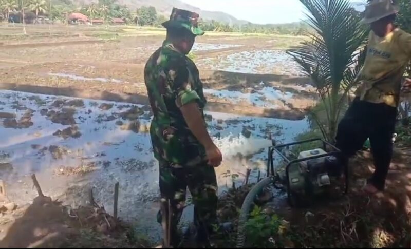 Untuk Kelancaran Pertanian, Babinsa Mekar Asih Dampingi Giat Pompanisasi Di Poktani