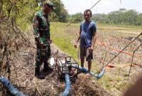 Babinsa Citarik Koramil 2202/Palabuhanratu Laksanakan Giat Pompanisasi Bersama Poktani