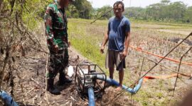 Babinsa Citarik Koramil 2202/Palabuhanratu Laksanakan Giat Pompanisasi Bersama Poktani