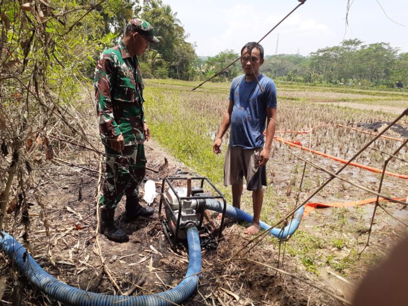 Babinsa Citarik Koramil 2202/Palabuhanratu Laksanakan Giat Pompanisasi Bersama Poktani