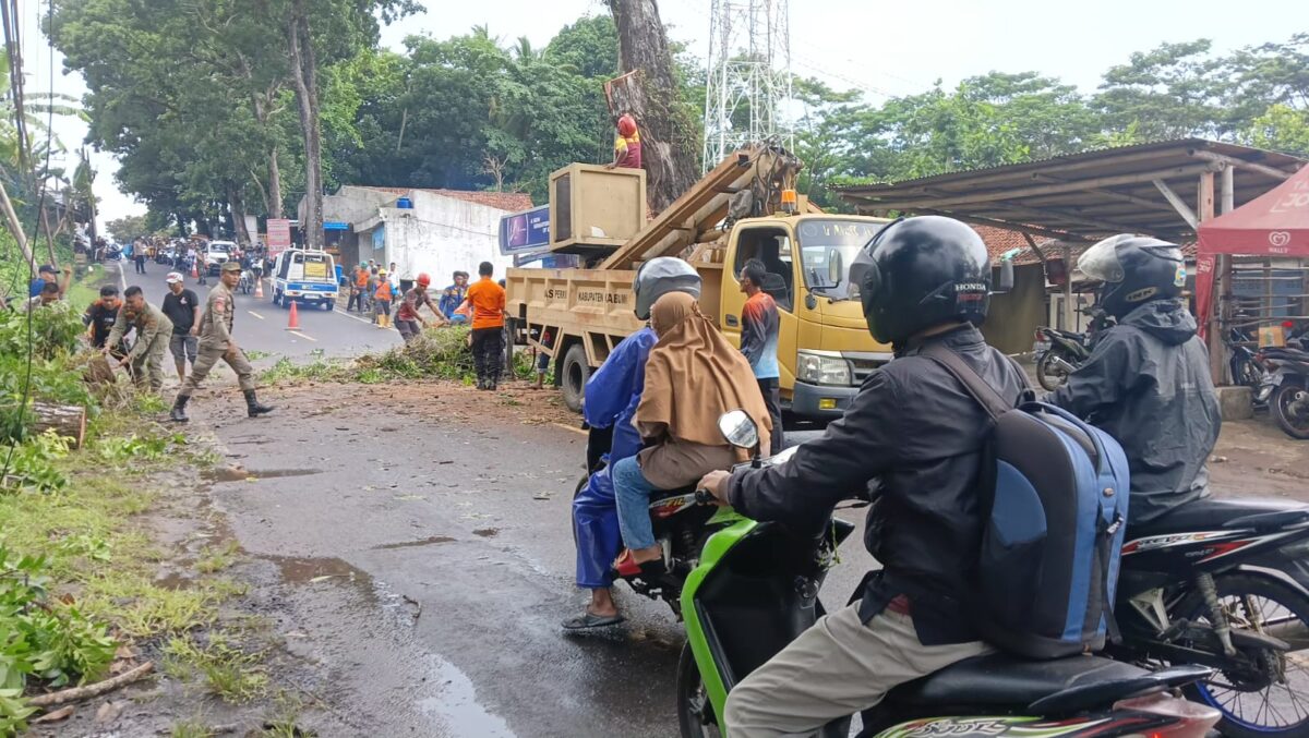 Antisipasi Musim Hujan, Disperkim Sukabumi Tebang Pohon Berisiko di Cikakak