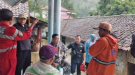 Dua Rumah Warga Rusak Tertimpa Pohon, Pemdes Cibodas Bergerak Cepat Evakuasi dan Perbaikan