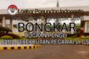 Dugaan praktik pungutan liar dalam rekrutmen pegawai di PT Glostar Indonesia (GSI) Cikembar, Sukabumi, menjadi sorotan publik. Laskar Pasundan Indonesia (LPI) mengungkapkan adanya indikasi pungli dengan nominal fantastis, yang diduga melibatkan oknum HRD.