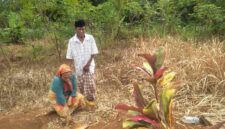 Duka mendalam masih dirasakan keluarga Almarhum Cepi, korban kecelakaan maut di Jalan Siliwangi, Palabuhanratu. Hingga kini, pihak perusahaan yang terlibat belum menepati janji untuk memberikan kompensasi.