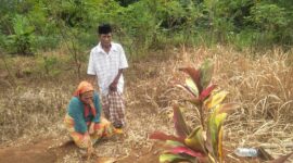 Duka mendalam masih dirasakan keluarga Almarhum Cepi, korban kecelakaan maut di Jalan Siliwangi, Palabuhanratu. Hingga kini, pihak perusahaan yang terlibat belum menepati janji untuk memberikan kompensasi.