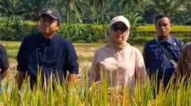 Kepala Dinas Pertanian Kabupaten Sukabumi