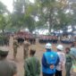 Satpol PP Kabupaten Sukabumi menerjunkan 75 personel untuk menertibkan dan membongkar bangunan di kawasan TWA Sukawayana.