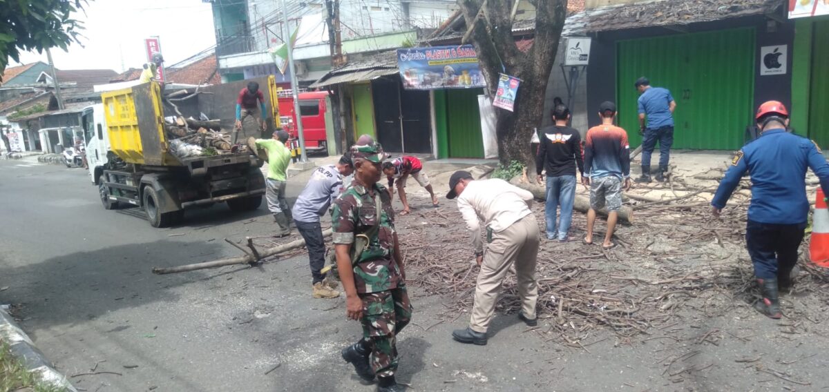 Menindaklanjuti aduan warga, Lurah Palabuhanratu bersama tim gabungan melakukan evakuasi pohon mati di Jalan Bhayangkara.