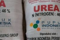 Subsidi pupuk tahun ini hanya diberikan kepada petani yang tergabung dalam kelompok tani resmi.