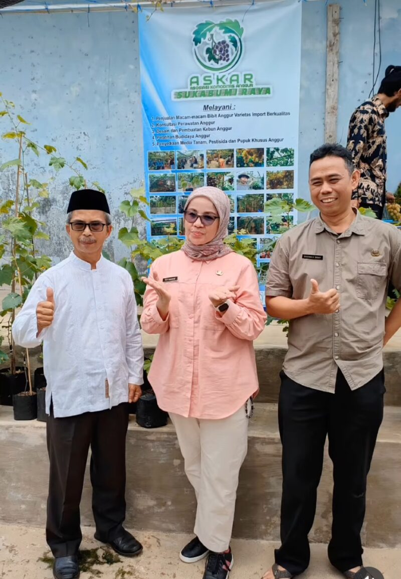 Petani anggur di Sukabumi semakin berkembang! Melalui ASKAR, mereka mengembangkan budidaya anggur di berbagai wilayah, termasuk di KWT Karya Salabintana. 