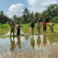 Banjir besar yang melanda Palabuhanratu pada 5 Maret 2025 menggenangi sekitar dua hektare sawah di Kelurahan Palabuhanratu, terutama di Majlis RW 19. Meski terdampak, mayoritas petani telah lebih dulu memanen hasil pertanian mereka, sehingga tidak mengalami gagal panen.