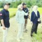 Produksi padi di Kabupaten Sukabumi terus menjadi andalan dengan hasil panen yang menggembirakan. Tak hanya itu, jagung dan ubi kayu juga mencatatkan peningkatan produksi yang signifikan. 