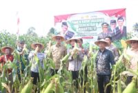 Wakil Bupati Sukabumi H. Andreas menghadiri Panen Raya Jagung Serentak Kuartal II Tahun 2025 di Desa Selawangi, sebagai bentuk dukungan terhadap ketahanan pangan nasional.