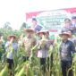 Wakil Bupati Sukabumi H. Andreas menghadiri Panen Raya Jagung Serentak Kuartal II Tahun 2025 di Desa Selawangi, sebagai bentuk dukungan terhadap ketahanan pangan nasional.