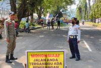 Tim gabungan eksekusi tiga pohon trembesi tua di Jalan Ahmad Yani Palabuhanratu. 