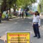 Tim gabungan eksekusi tiga pohon trembesi tua di Jalan Ahmad Yani Palabuhanratu. 