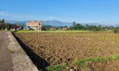 berita-pilihan-foto