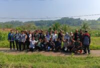 Dinas Pertanian Kabupaten Sukabumi terus berupaya menangani kasus gagal tanam di Desa Kertamukti akibat kerusakan saluran irigasi.