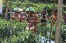 Bappelitbangda dorong perluasan kemitraan petani dengan dunia usaha sebagai bagian dari strategi hilirisasi pertanian daerah.