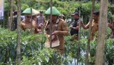Bappelitbangda dorong perluasan kemitraan petani dengan dunia usaha sebagai bagian dari strategi hilirisasi pertanian daerah.