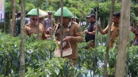 Bappelitbangda dorong perluasan kemitraan petani dengan dunia usaha sebagai bagian dari strategi hilirisasi pertanian daerah.