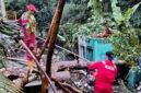 Damkar Sukabumi melalui Pos Palabuhanratu sigap evakuasi pohon tumbang di Mako Satpol PP akibat cuaca ekstrem, tanpa korban jiwa.