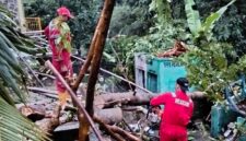 Damkar Sukabumi melalui Pos Palabuhanratu sigap evakuasi pohon tumbang di Mako Satpol PP akibat cuaca ekstrem, tanpa korban jiwa.