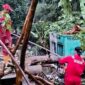 Damkar Sukabumi melalui Pos Palabuhanratu sigap evakuasi pohon tumbang di Mako Satpol PP akibat cuaca ekstrem, tanpa korban jiwa.