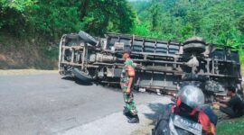 Truk bermuatan kayu palet terguling di Jalur Buniwangi-Cikidang, sopir bersyukur selamat dari insiden.