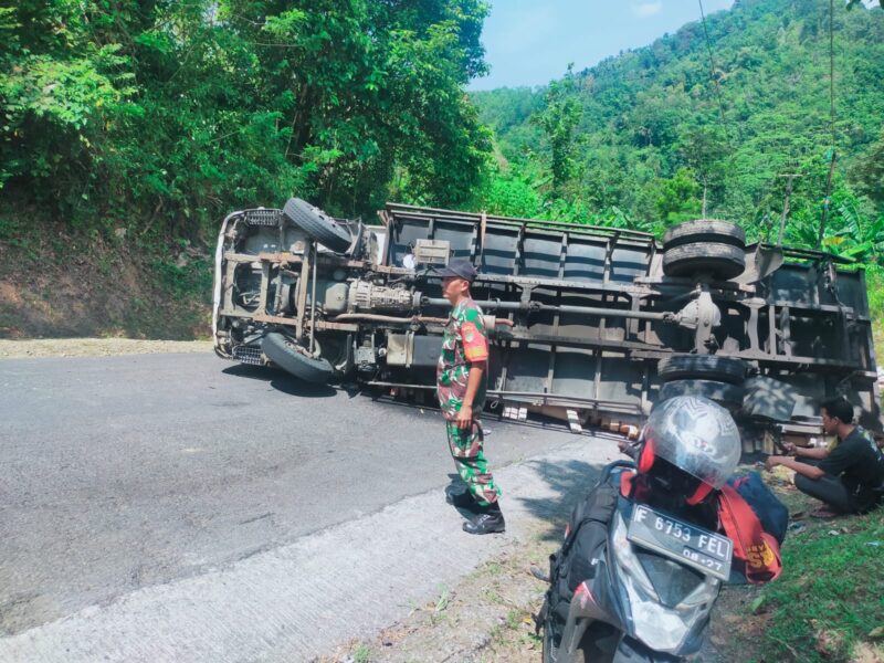 Truk bermuatan kayu palet terguling di Jalur Buniwangi-Cikidang, sopir bersyukur selamat dari insiden.