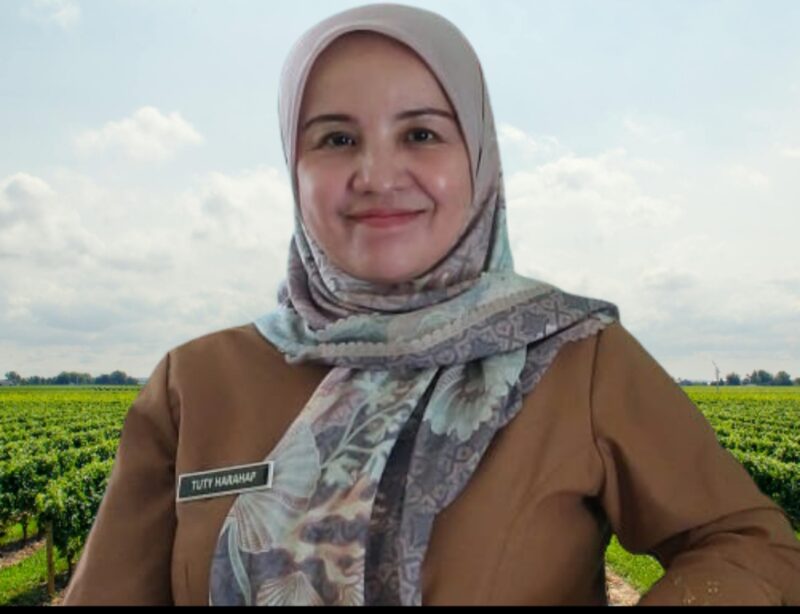 SAPA TANI hadir sebagai jembatan komunikasi antara petani, pemerintah, dan masyarakat.