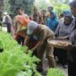 DPMD Kabupaten Sukabumi terus memperkuat sinergi lintas sektor dalam persiapan verifikasi program P2WKSS 2025.