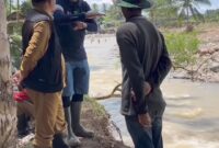 Dinas Pertanian Kabupaten Sukabumi turun langsung meninjau lahan pertanian terdampak banjir.