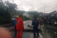 Damkar Kabupaten Sukabumi bergerak cepat mengevakuasi pohon dan tiang listrik tumbang