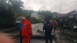 Damkar Kabupaten Sukabumi bergerak cepat mengevakuasi pohon dan tiang listrik tumbang