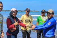 Aksi nyata pelestarian laut dilakukan Komunitas Penggiat Konservasi Nyelam Sukabumi (PENYU)