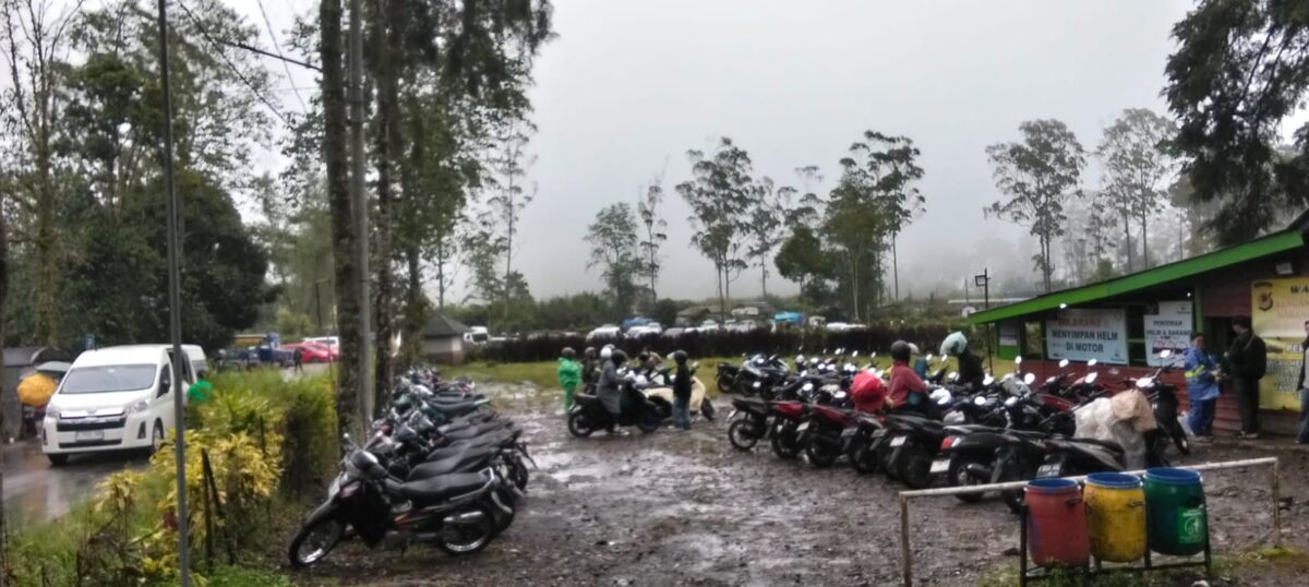 Libur Natal dan Tahun Baru 2025/2026 membawa angin segar bagi kawasan wisata Ranca Upas, Ciwidey.
